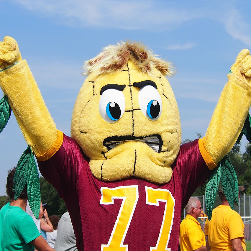 Kernal Cobb cheers on the Concordia football team at last Saturday's game. Photo by Morgan Schleif.