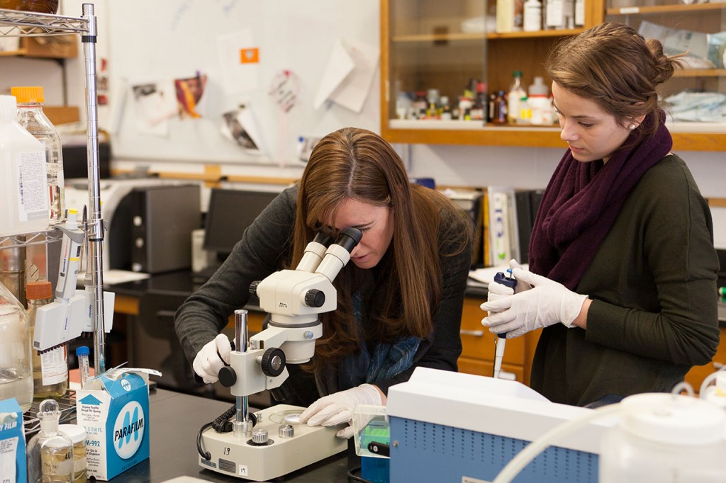 Biology professor Jennifer Bath is working with students to create a vaccine to combat hookworm infections. Photo by Chase Body.