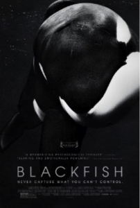 Blackfish - review