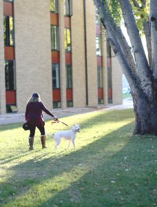 Michelle McNamara takes Ice for a walk through campus. Photo by Maddie Malat.